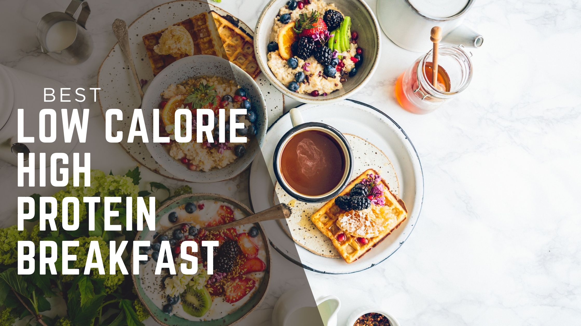 You are currently viewing 5 Low Calorie High Protein Breakfast Ideas to Keep You Full and Burn Fat All Morning